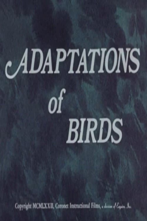 Adaptations of Birds (1972) movie poster