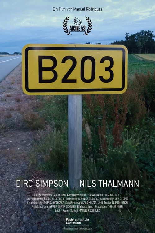 B203 (2024) movie poster