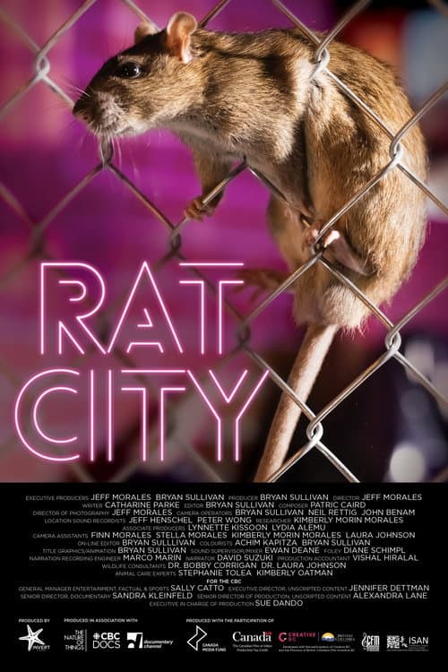 Affiche du film Rat City (2023)
