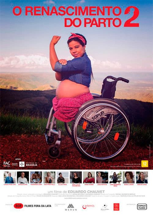 Affiche du film O Renascimento do Parto 2 (2018)
