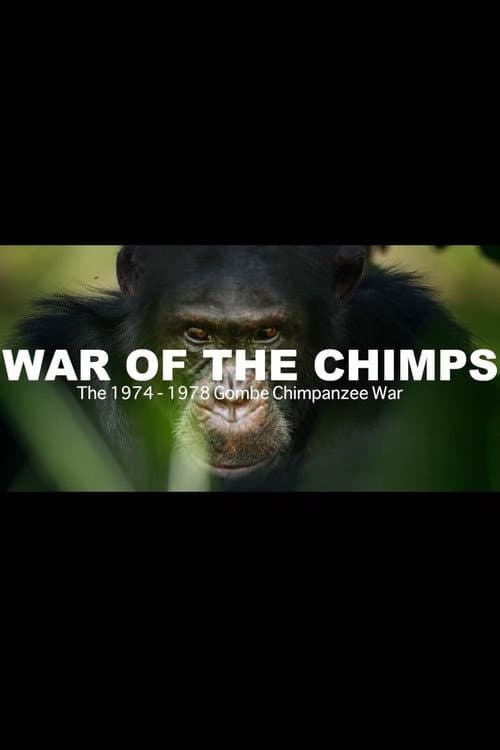 World War Chimp | The Brutal 1974 - 1978 Gombe Chimpanzee War: Documentary (2019) movie poster