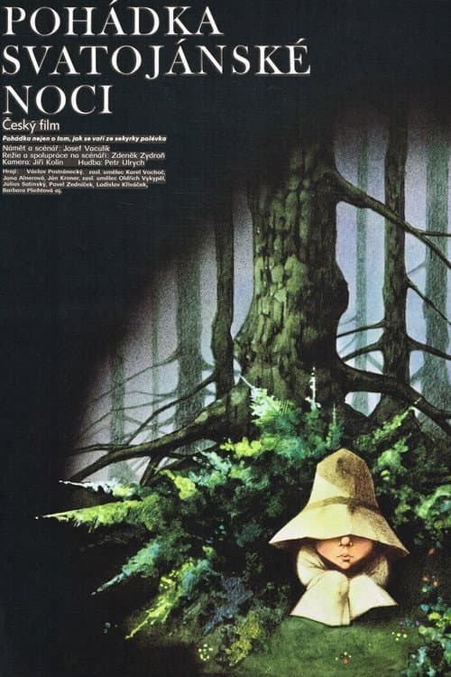 Affiche du film Pohádka svatojánské noci (1982)