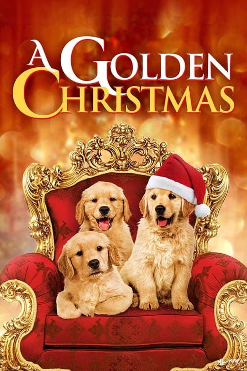 A Golden Christmas (2009) movie poster