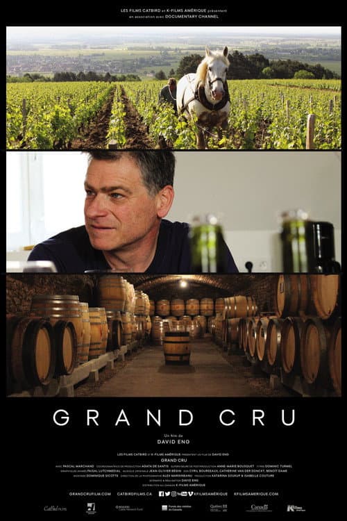 Affiche du film Grand Cru (2018)