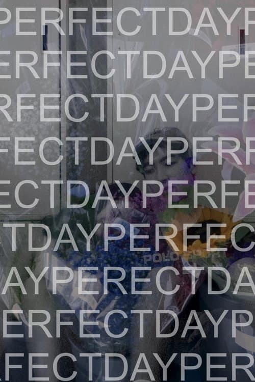 Affiche du film Perfect Day