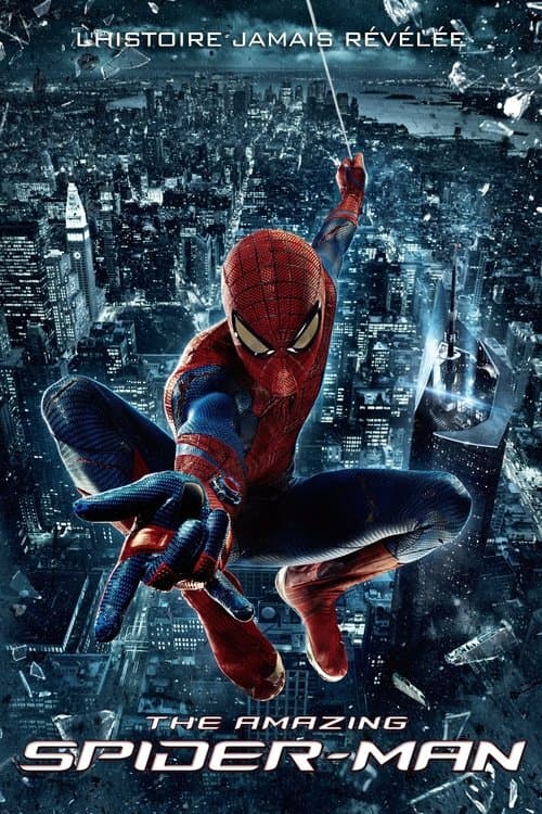 Affiche du film The Amazing Spider-Man (2012)