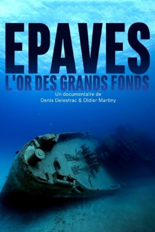ملصق فيلم Épaves, l'or des grands fonds (2019)
