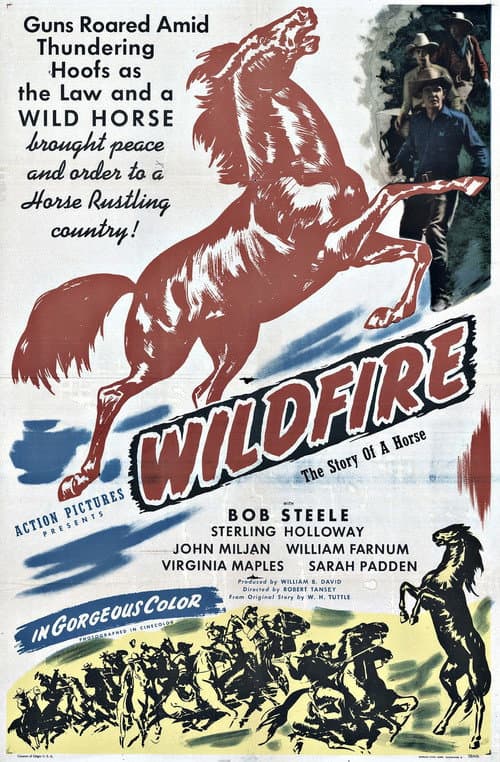 Affiche du film Wildfire (1945)