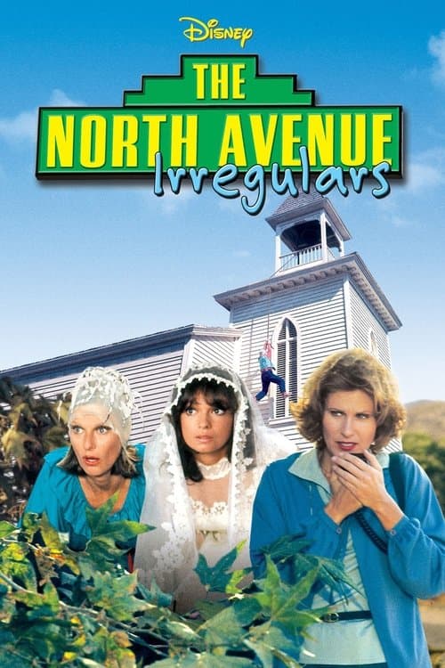 Affiche du film The North Avenue Irregulars (1979)