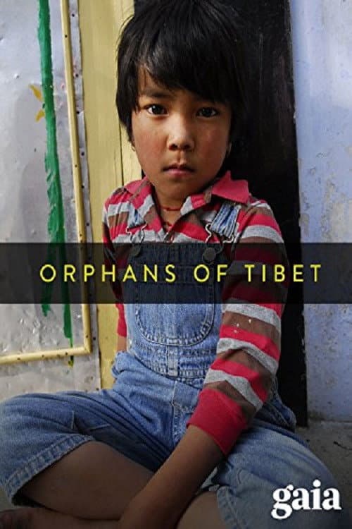 Les orphelins du Tibet (2010) movie poster