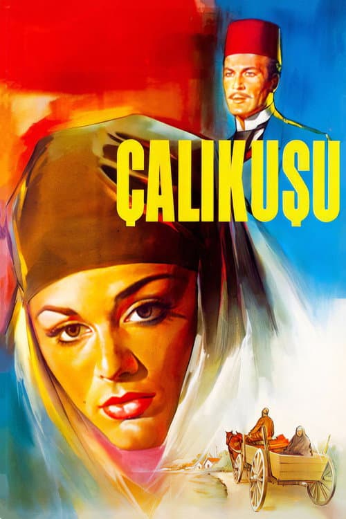 Affiche du film Çalıkuşu (1966)