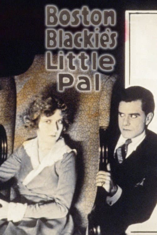ملصق فيلم Boston Blackie's Little Pal (1918)