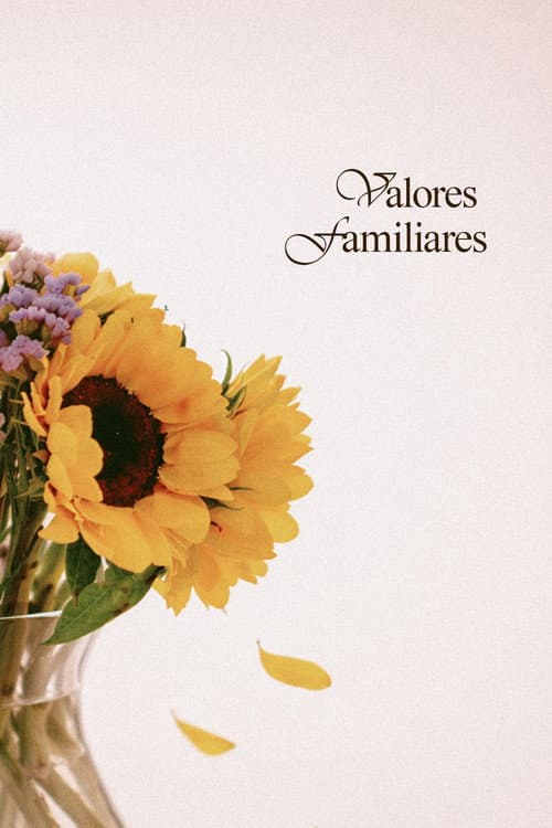 ملصق فيلم Valores Familiares (2026)