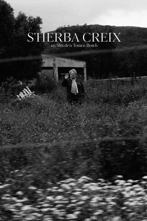 Affiche du film S'Herba Creix (2025)