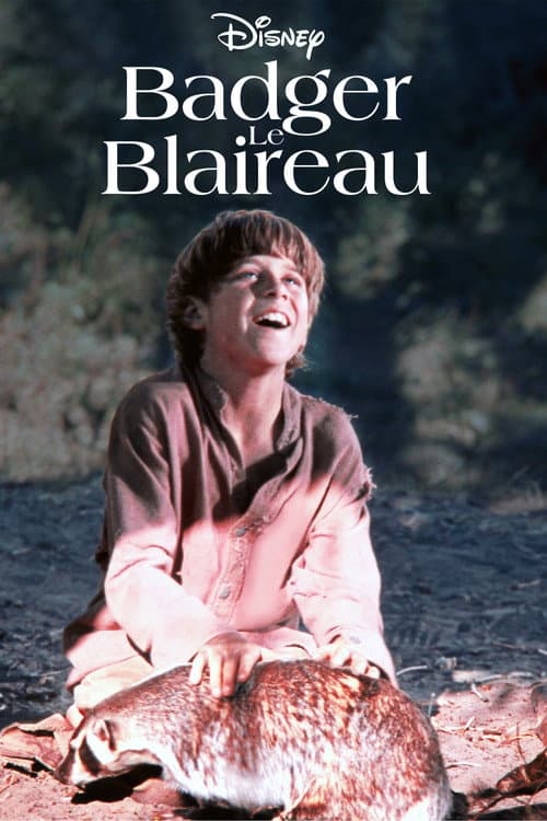 Affiche du film The Boy Who Talked to Badgers (1975)