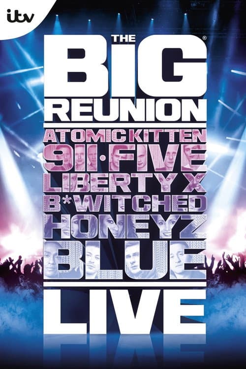 Affiche du film The Big Reunion Live (2013)