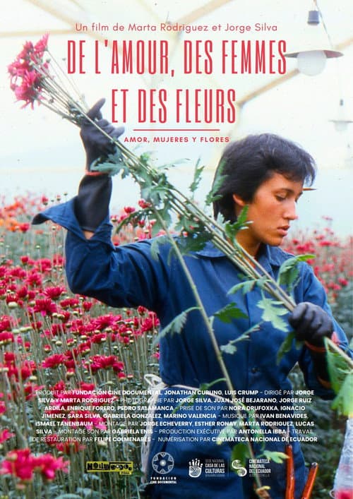 Affiche du film Amor, mujeres y flores (1988)
