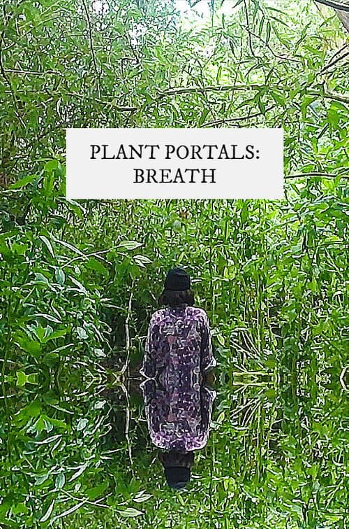 plant portals: breath (2020) movie poster