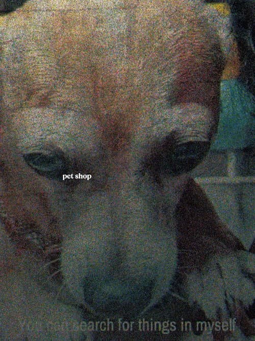 ملصق فيلم Tienda de perros (2026)