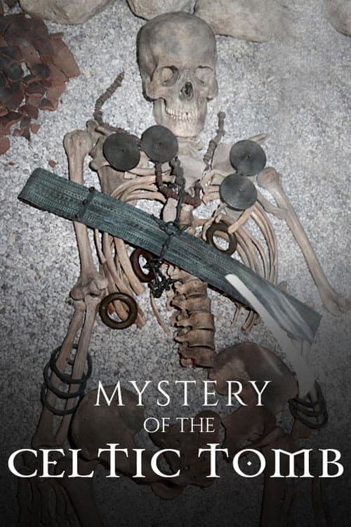 Affiche du film Mystery of the Celtic Tomb (2019)