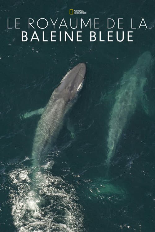 Affiche du film Kingdom of the Blue Whale (2009)