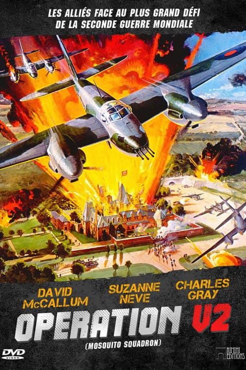 Affiche du film Mosquito Squadron (1969)