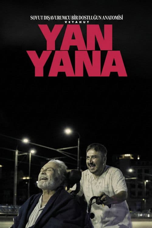Soyut Dışavurumcu Bir Dostluğun Anatomisi Veyahut Yan Yana (2025) movie poster
