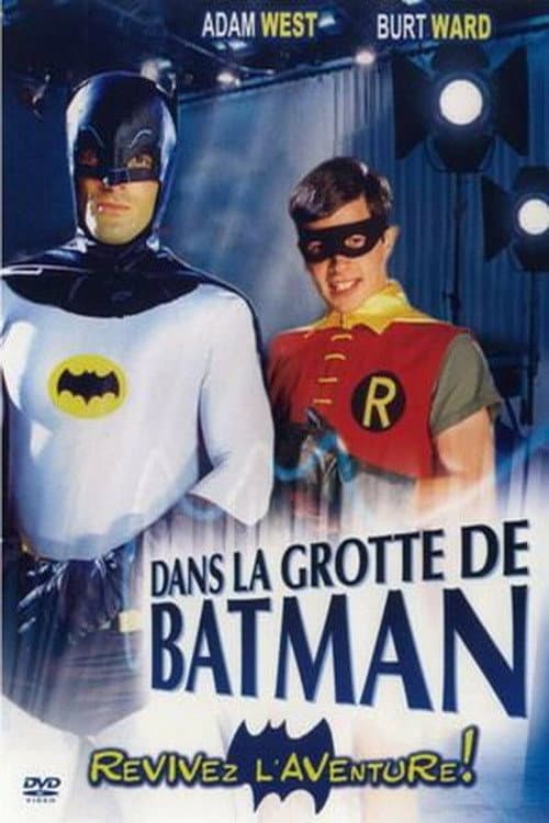 Affiche du film Return to the Batcave: The Misadventures of Adam and Burt (2003)