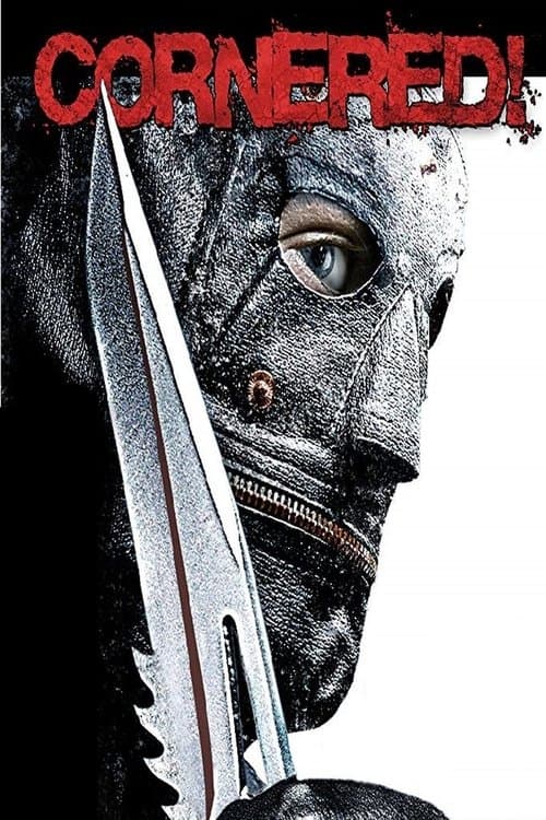 ملصق فيلم Cornered! (2009)