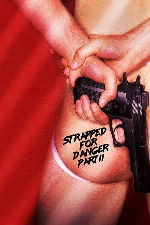 Strapped for Danger II: Undercover Vice (2020) movie poster