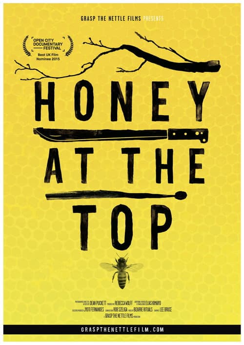 Honey at the Top (2015) movie poster