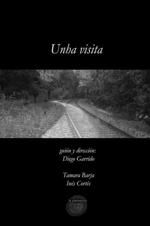 Unha visita (2017) movie poster