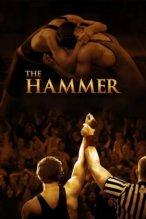 Affiche du film Hamill (2010)