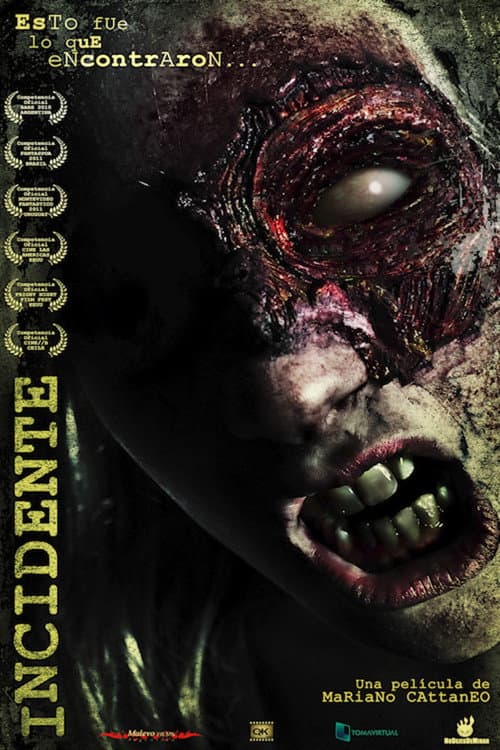 Incidente (2010) movie poster