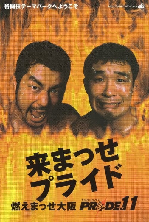 PRIDE.11 (2000) movie poster