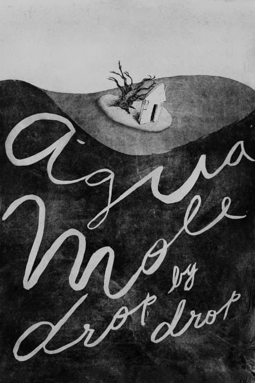 Affiche du film Água Mole (2017)