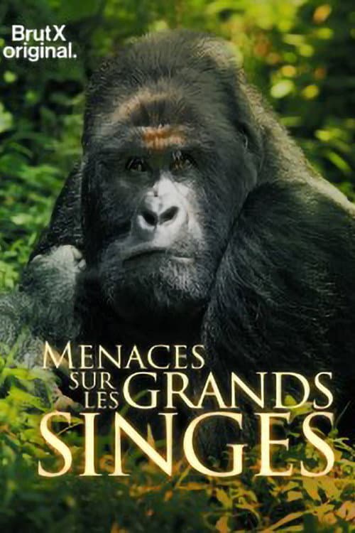 Affiche du film En danger : menaces sur les grands singes (2021)