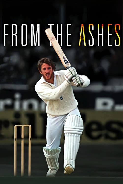 Affiche du film From the Ashes (2011)