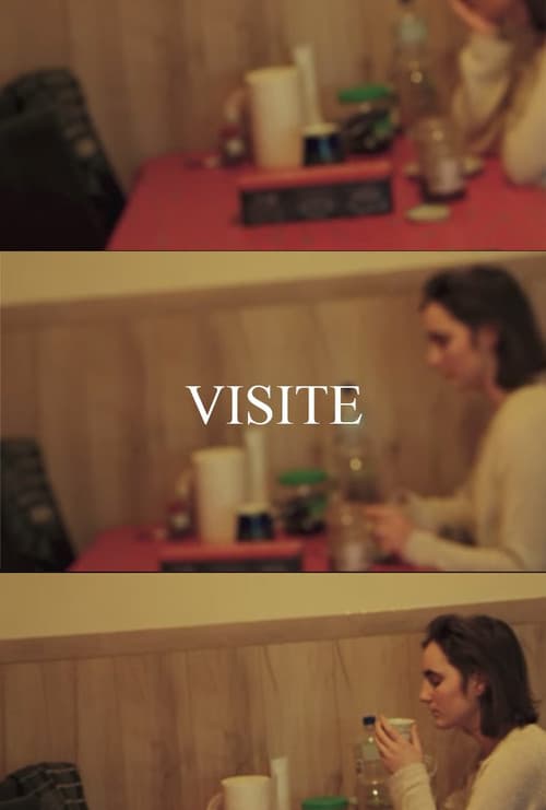 VISIT (2024) movie poster