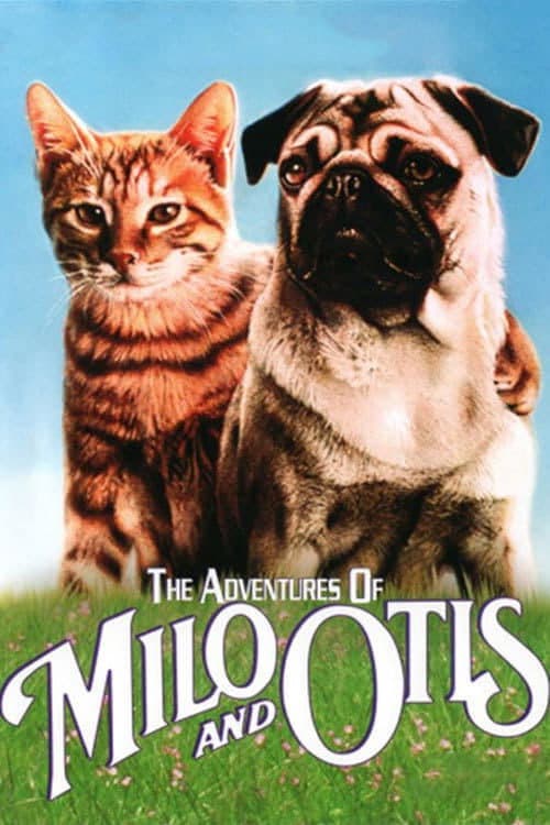 子猫物語 (1986) movie poster