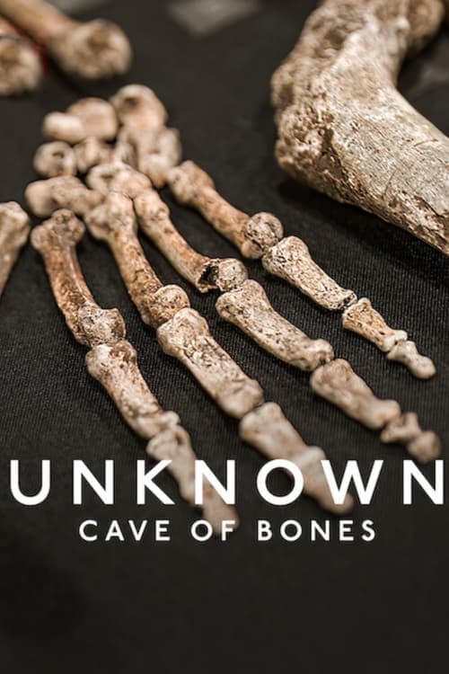 Unknown: Cave of Bones (2023) movie poster