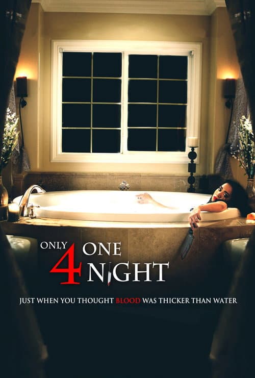 Only for One Night (2016) movie poster