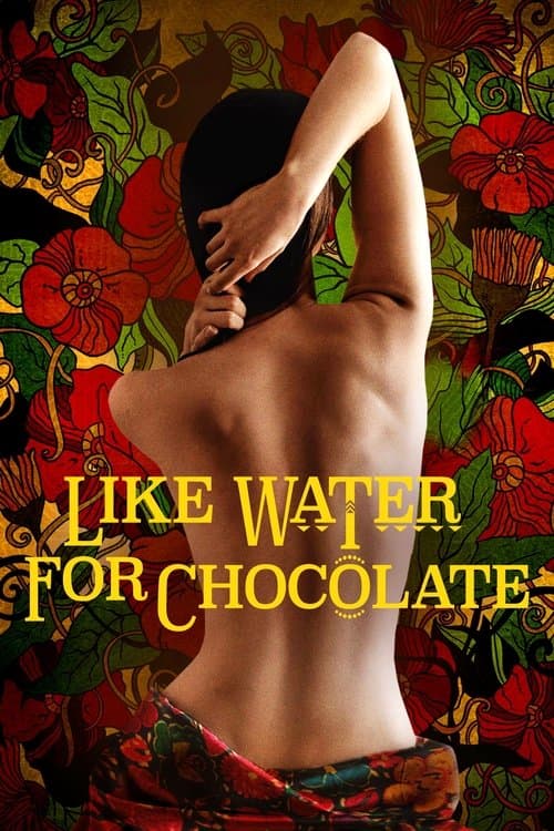 Como agua para chocolate (1992) movie poster