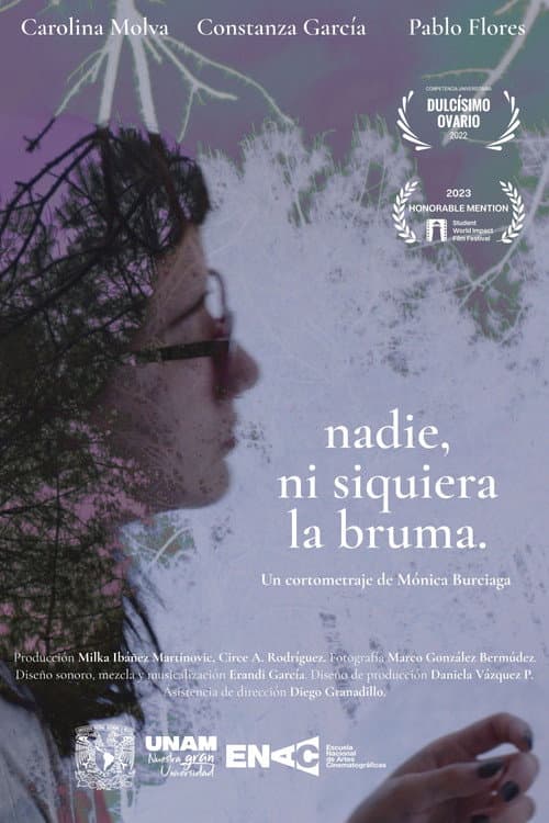 Affiche du film Nadie, ni siquiera la bruma (2022)