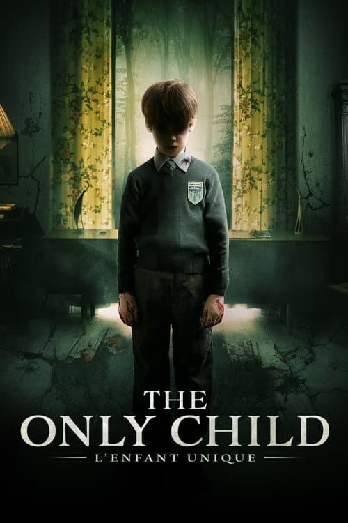 Affiche du film The Hole in the Ground (2019)