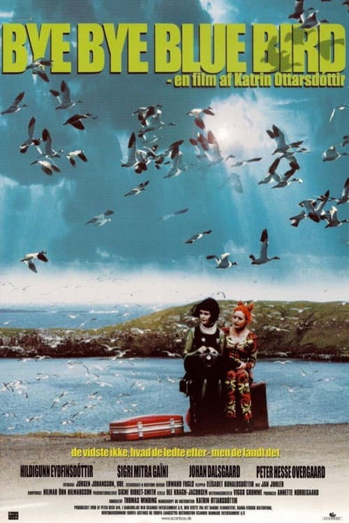 Affiche du film Bye Bye Blue Bird (1999)