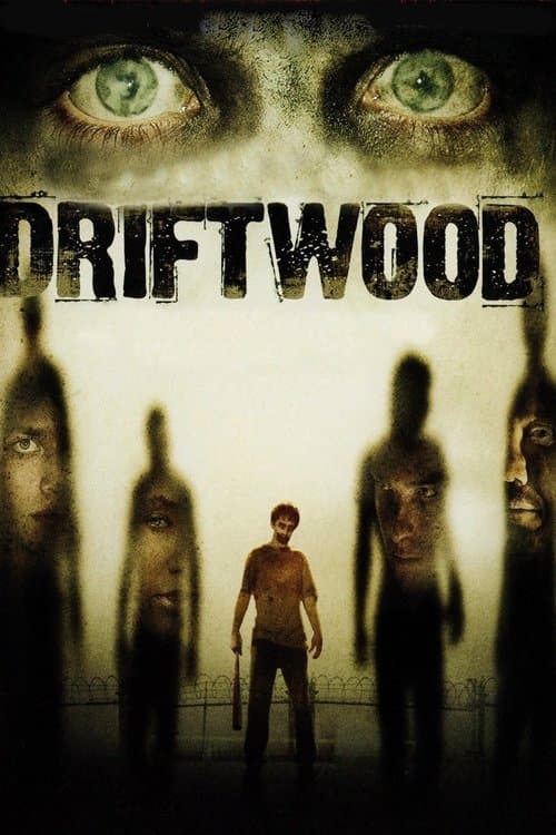 Affiche du film Driftwood (2006)