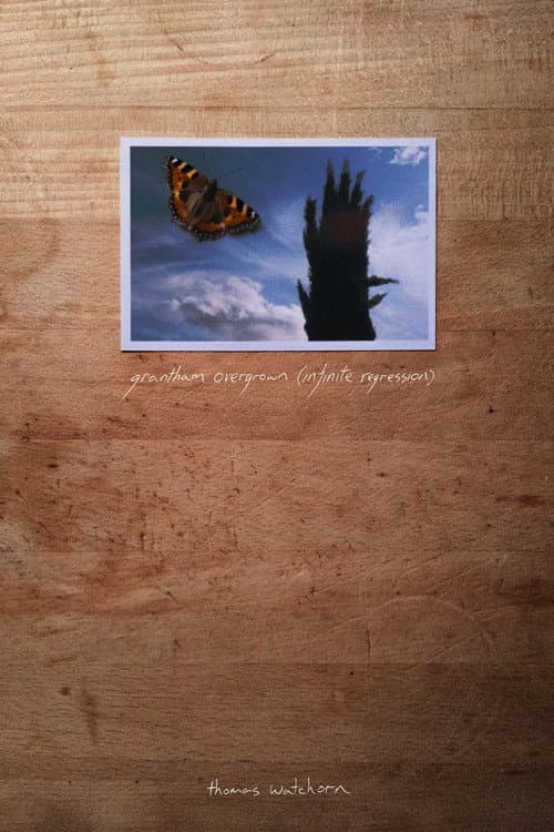 Grantham Overgrown (Infinite Regression) (2021) movie poster