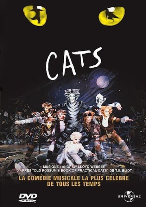 Affiche du film Cats (1998)