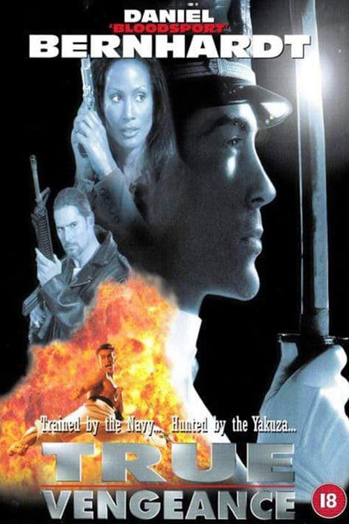 Affiche du film True Vengeance (1997)